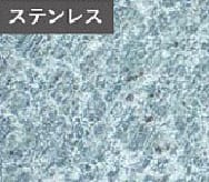 試験結果 木材の顕微鏡写真